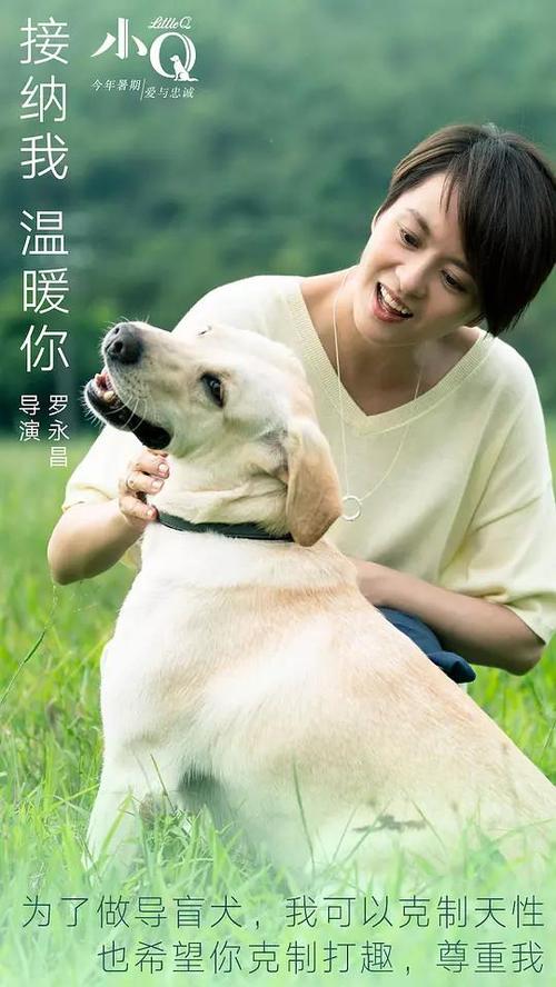 不动产产权证内容